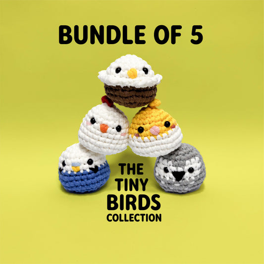 TINY BIRDS COLLECTION: Bundle of 5 | Beginner Crochet Kit