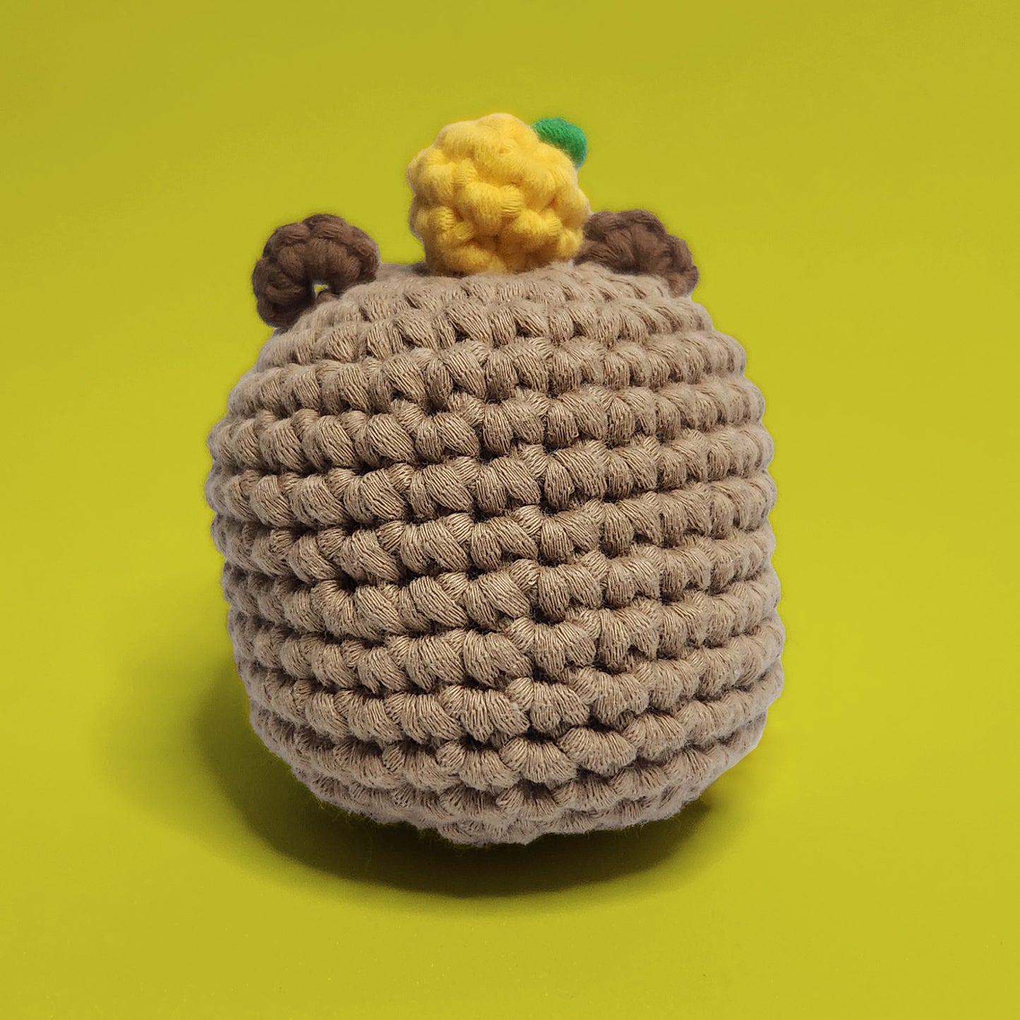 Ponzu the Capybara | Beginner Crochet Kit